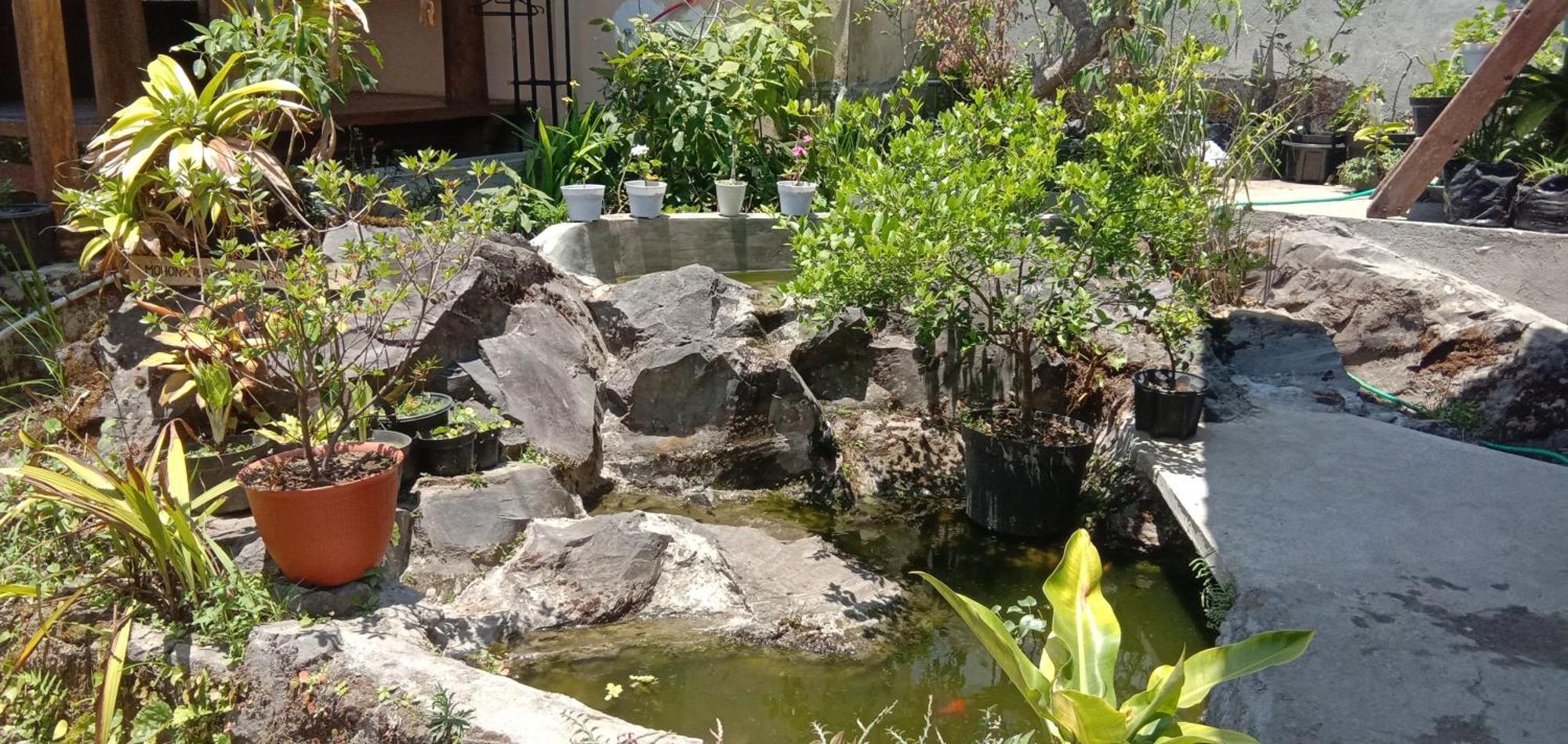 Radiya Guesthouse Sembalunlawang Habitación foto